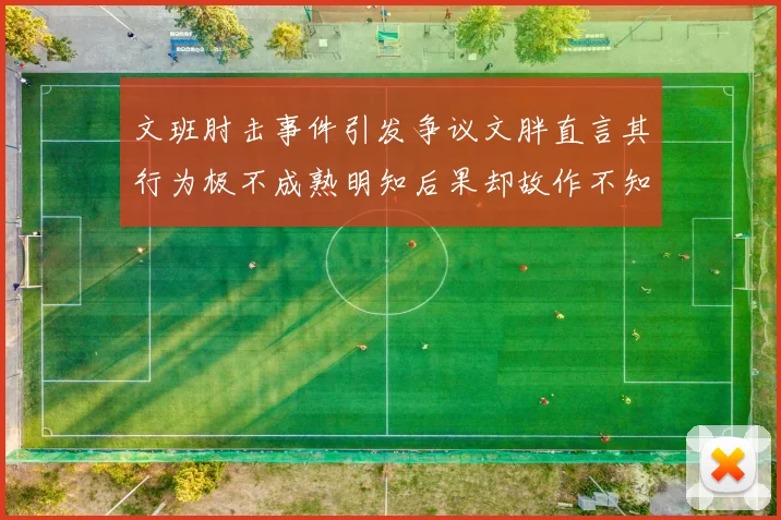 文班肘击事件引发争议文胖直言其行为极不成熟明知后果却故作不知