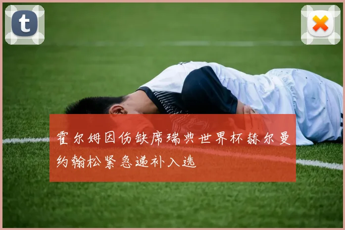 霍尔姆因伤缺席瑞典世界杯赫尔曼约翰松紧急递补入选