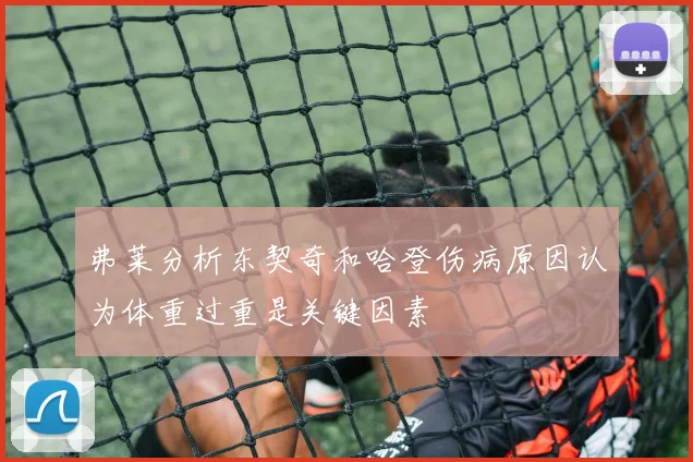 弗莱分析东契奇和哈登伤病原因认为体重过重是关键因素