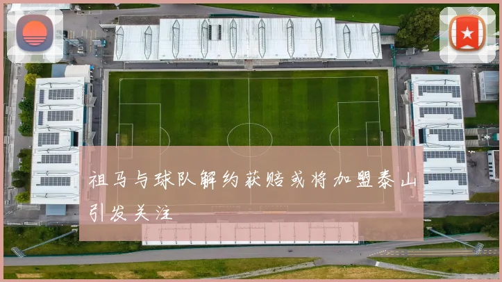 祖马与球队解约获赔或将加盟泰山引发关注